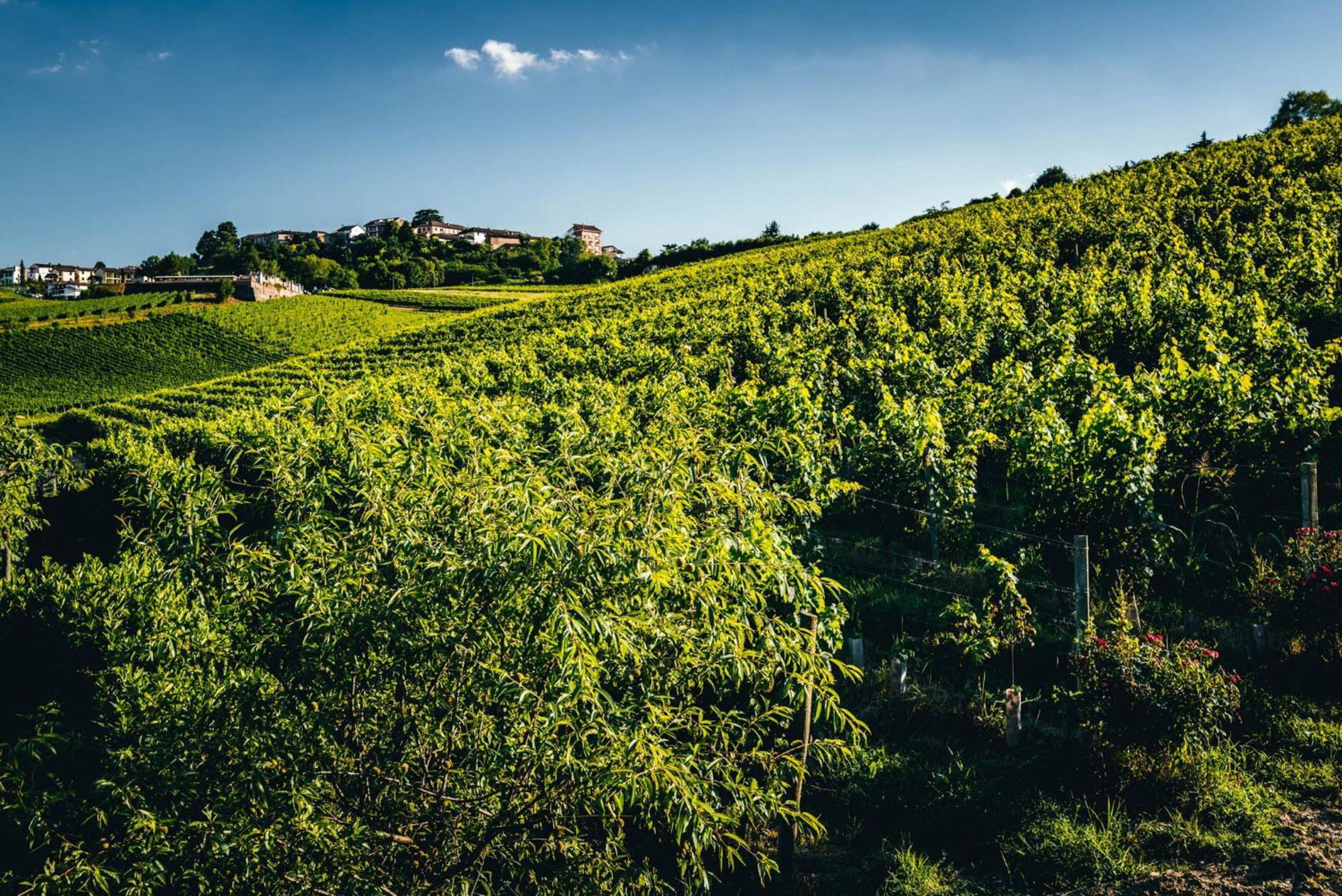 Agriturismo Dacapo Алиано Терме Екстериор снимка